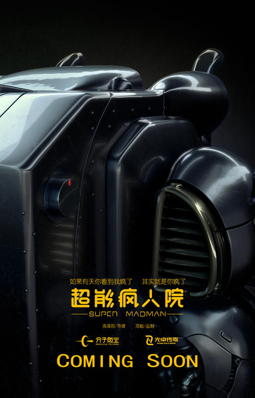 马斯特里赫特翻译学院本科毕业证